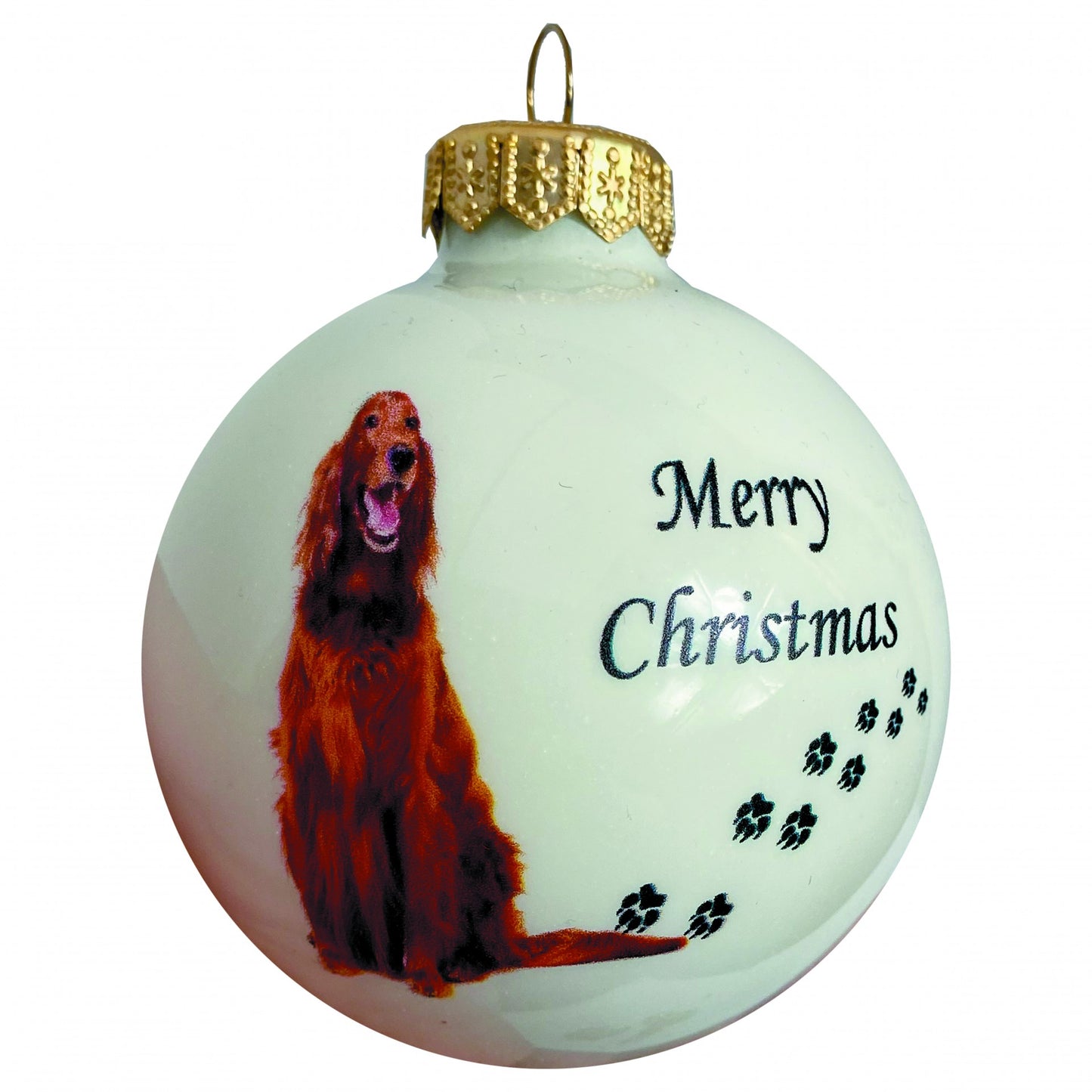 Irish Setter - weiss