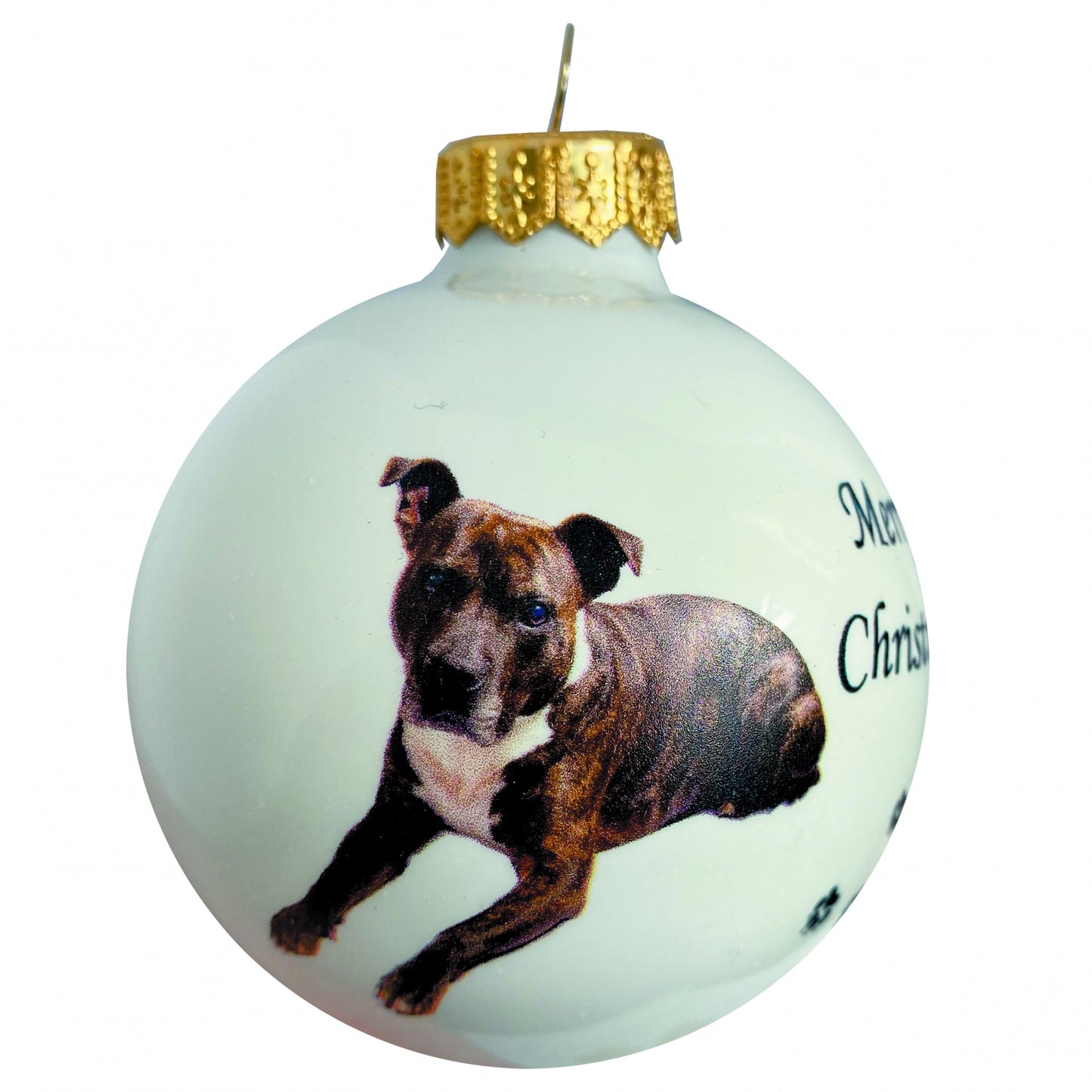 Staffordshire Terrier - weiss
