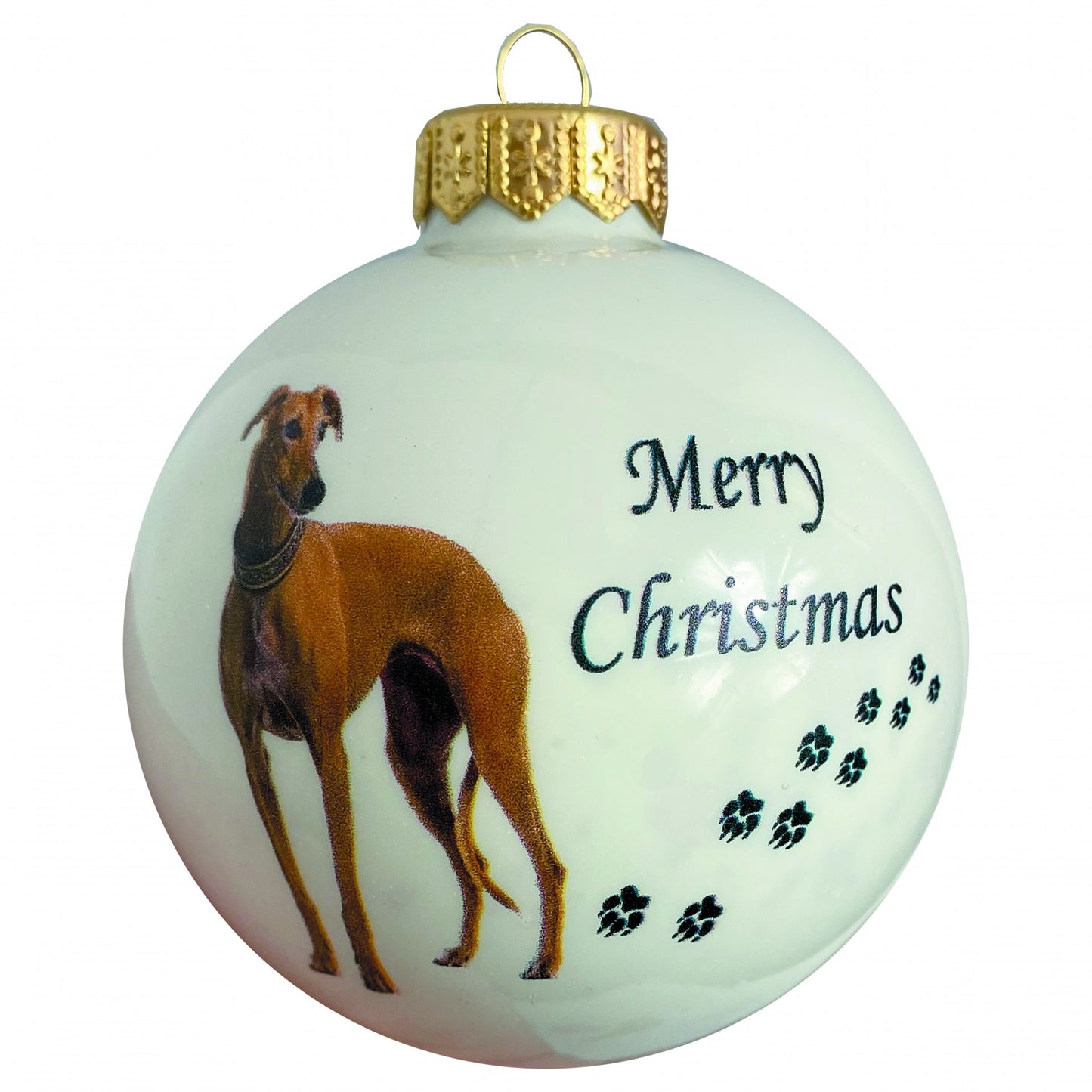 Whippet - weiss