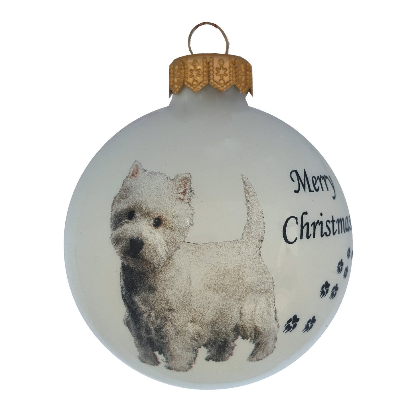 Westie (West Highland White Terrier) - weiss
