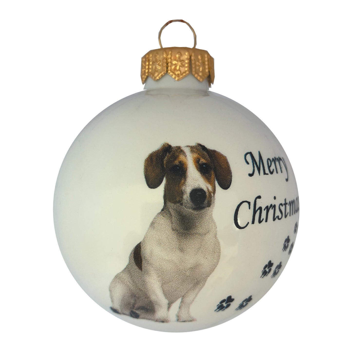 Jack Russell Terrier - weiss