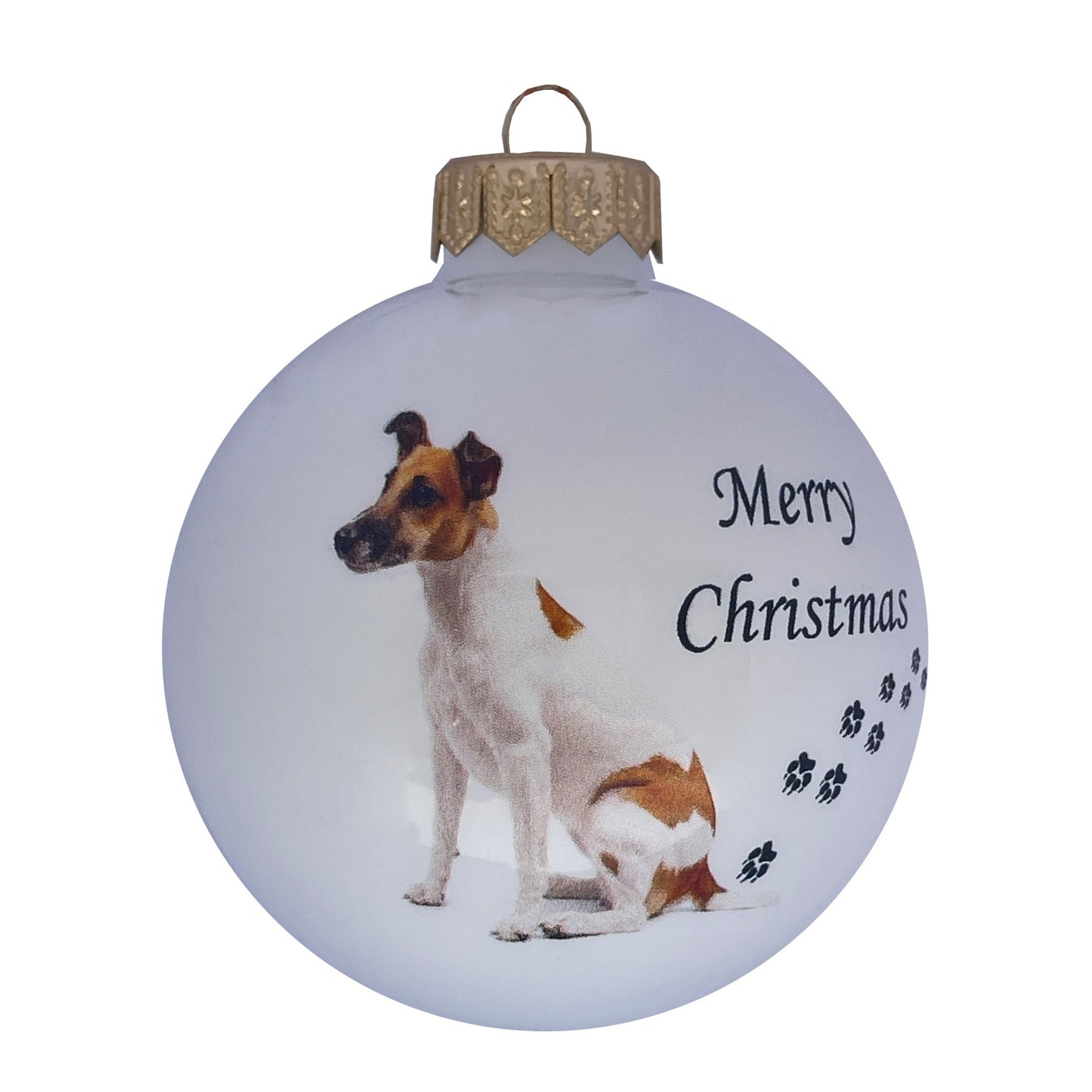 Fox terrier - weiss