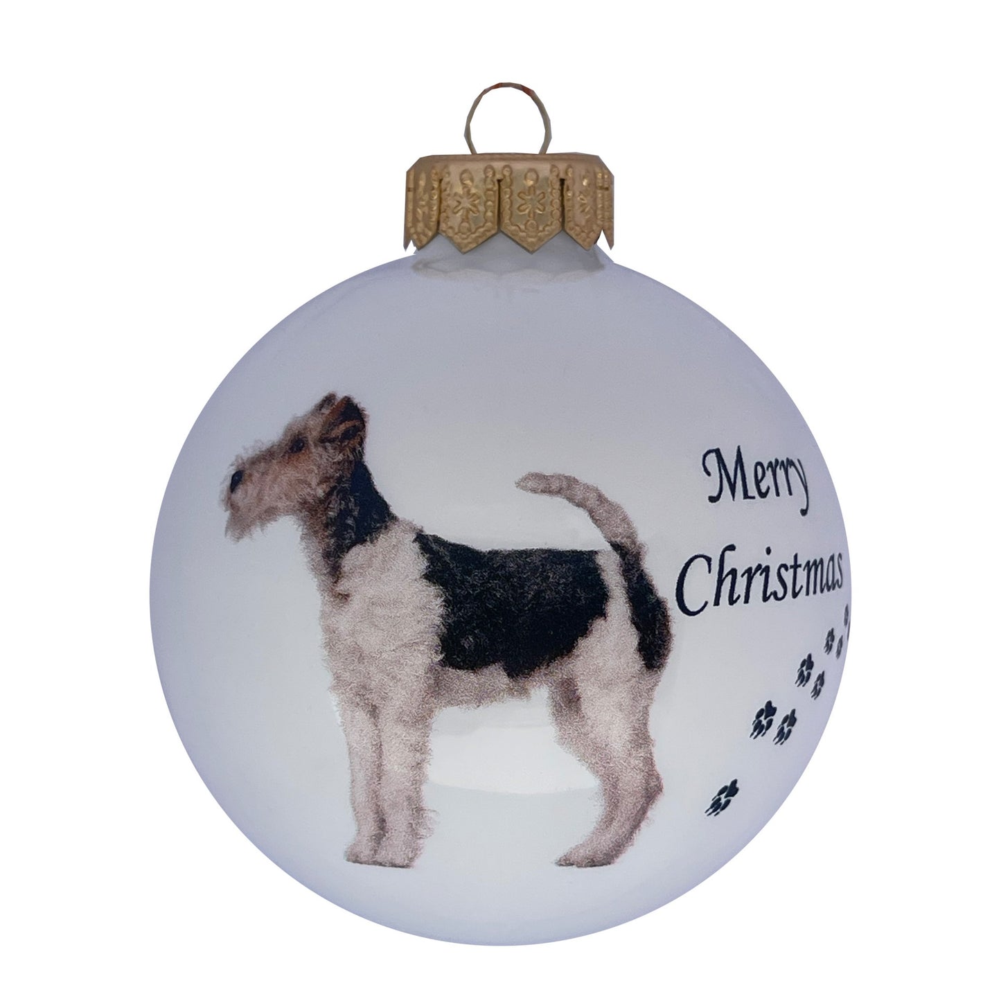 Drahthaarfoxterrier - weiss