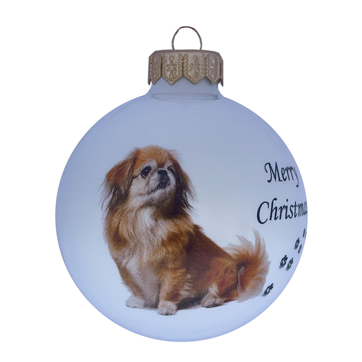 Pekinese - weiss