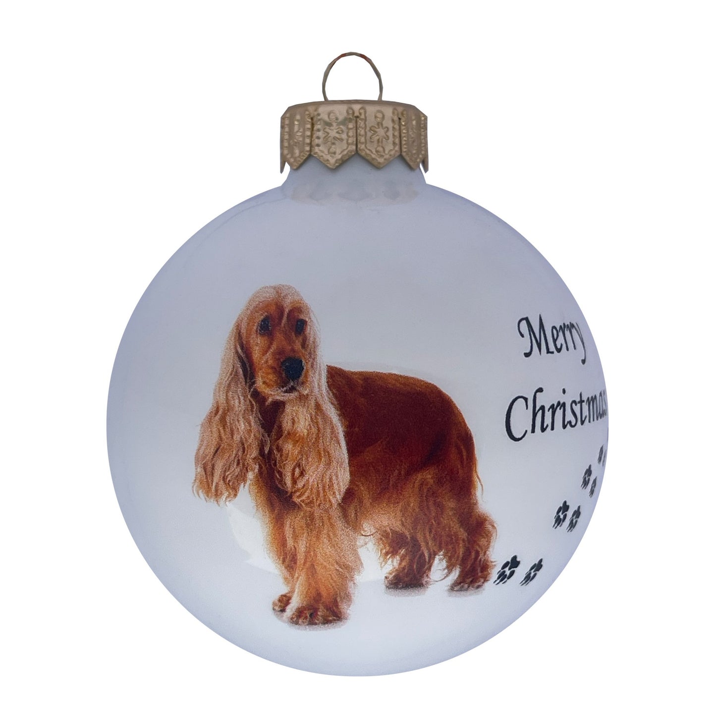 Englischer Cocker Spaniel - weiss