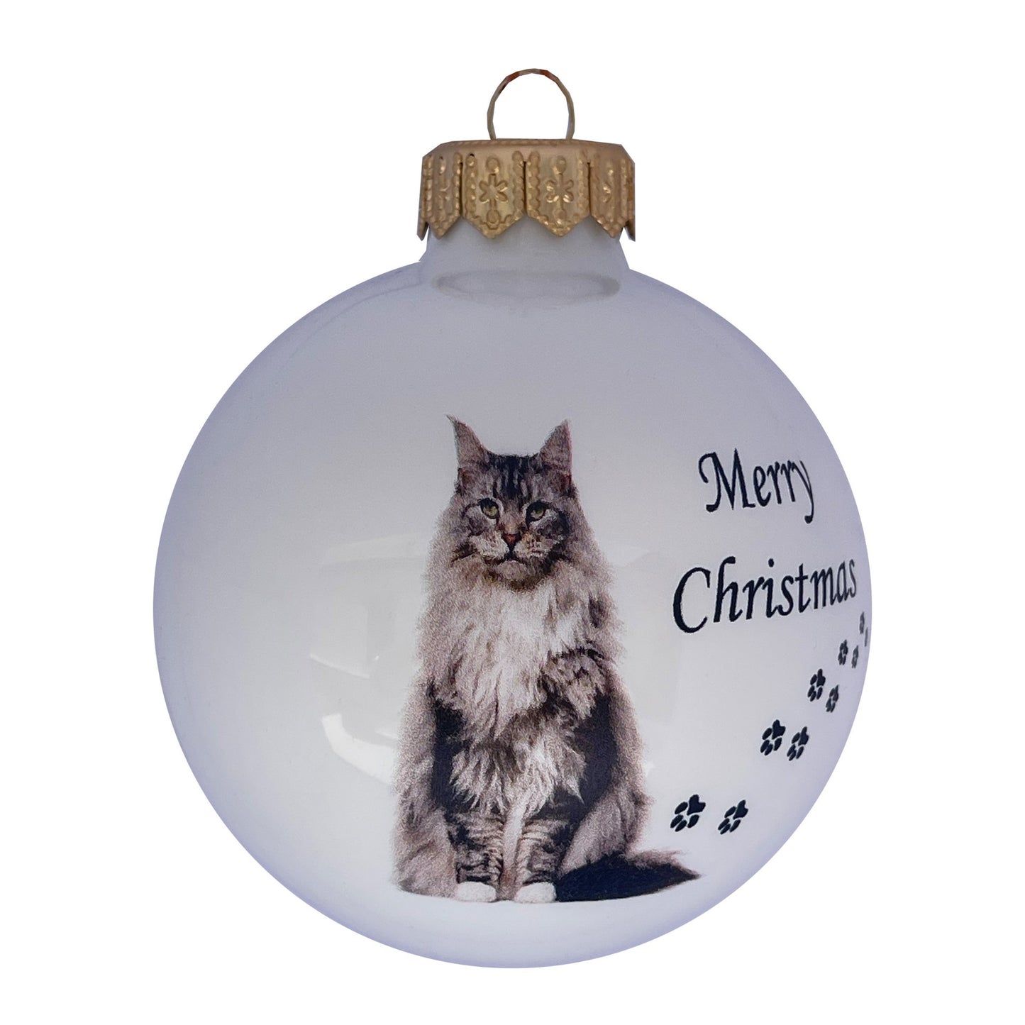 Main Coon