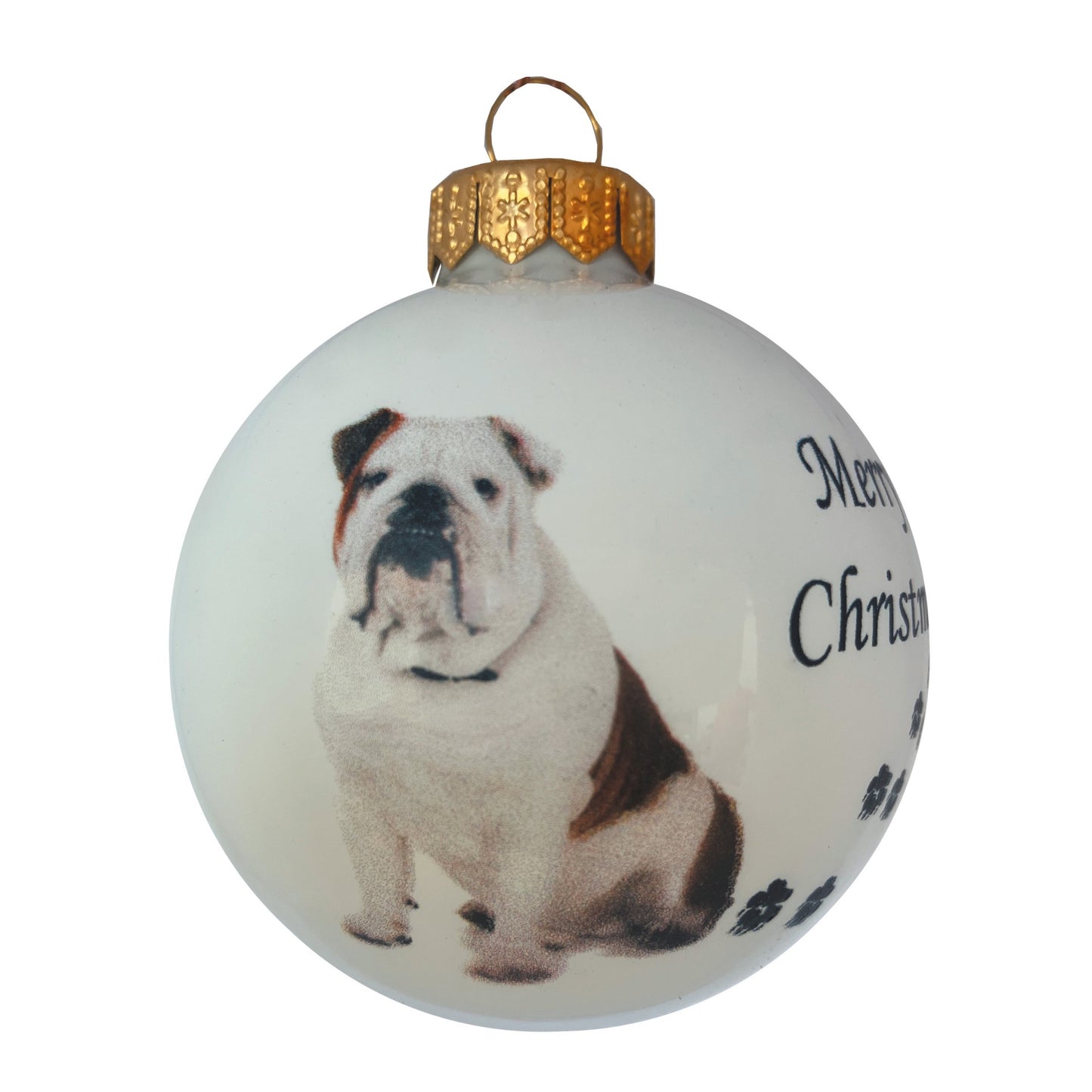Englische Bulldogge - weiss