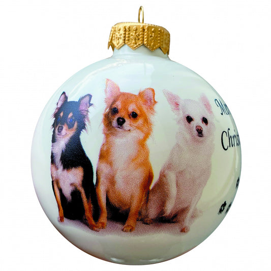 Chihuahua Trio - weiss