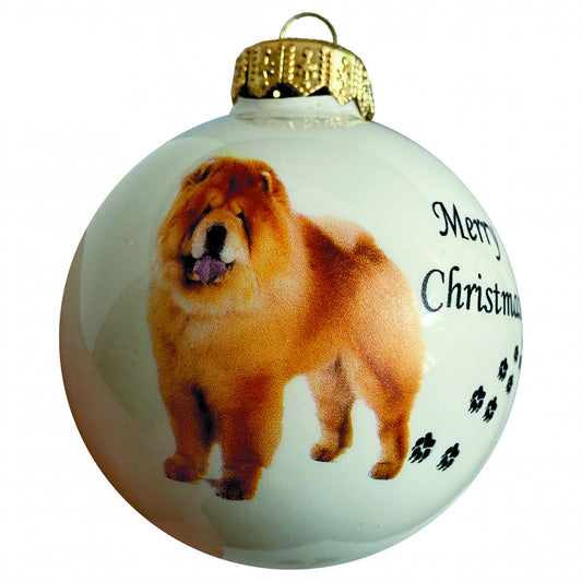 Chow-Chow - weiss