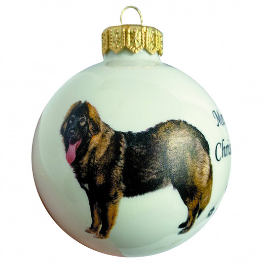 Kaukasischer Schäferhund - weiss