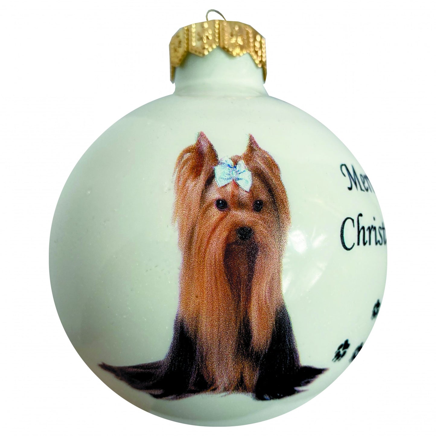Yorkshire terrier