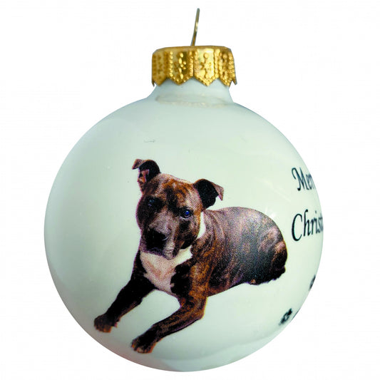 Staffordshire Terrier - weiss