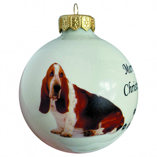 Basset Hound - weiss