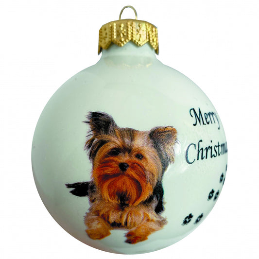 Yorkshire Terrier - weiss