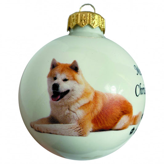 Akita - weiss