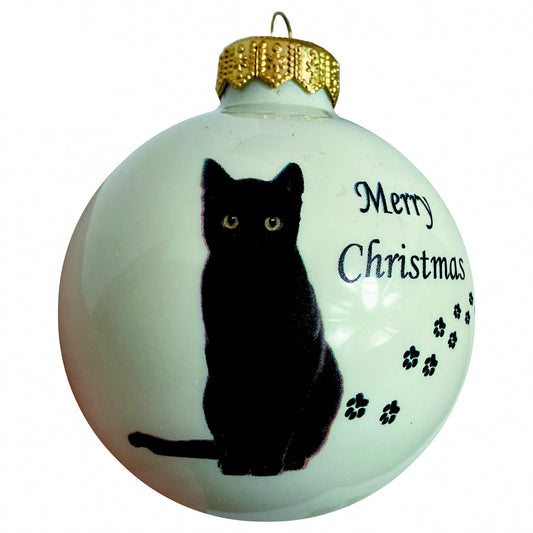 Schwarze Katze - weiss
