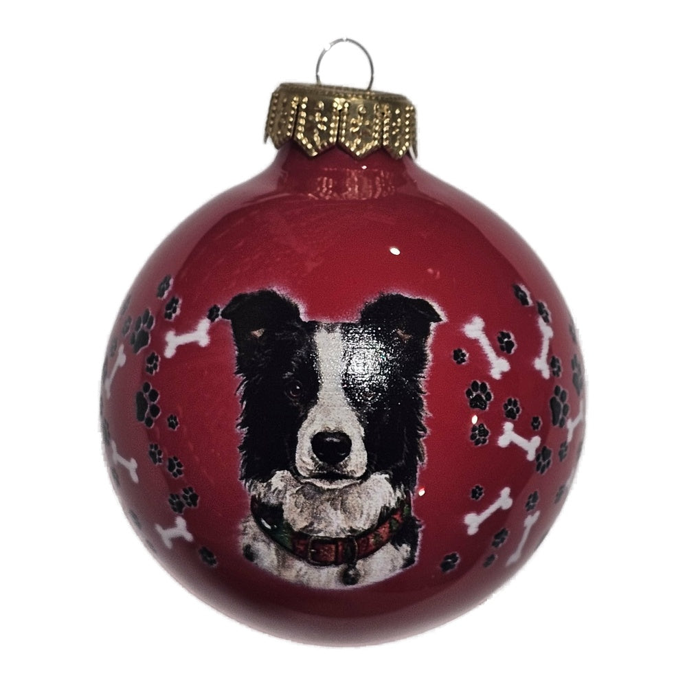 Premium Weihnachtskugel Border Collie