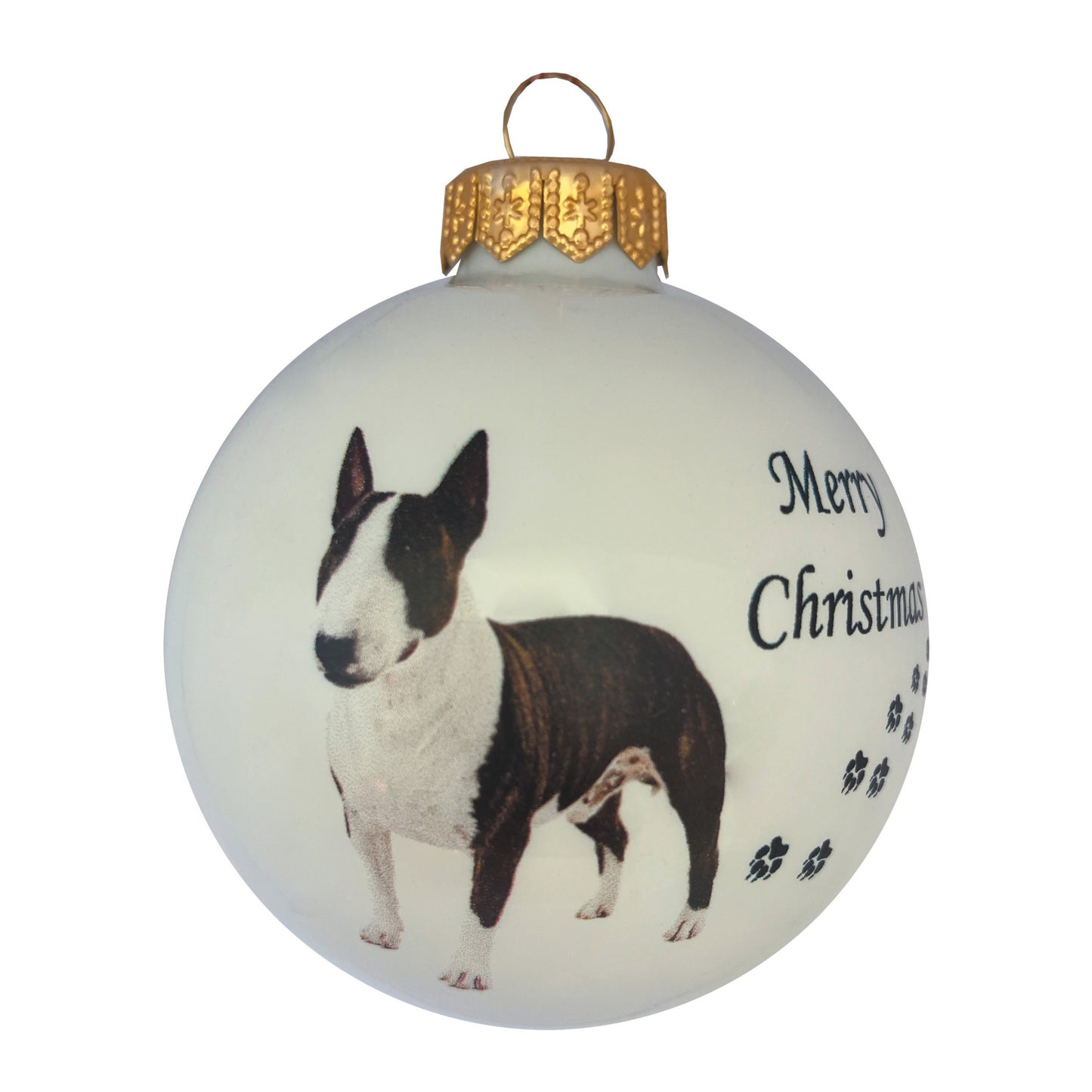 Bullterrier - weiss