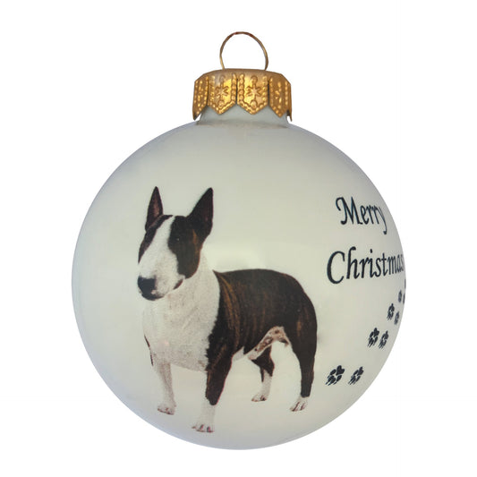 Bullterrier - weiss