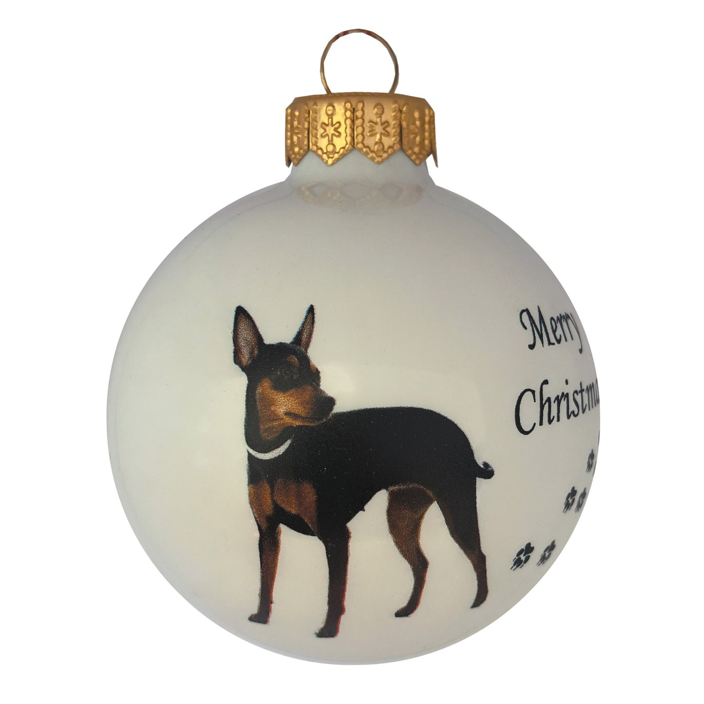 Zwergpinscher - weiss