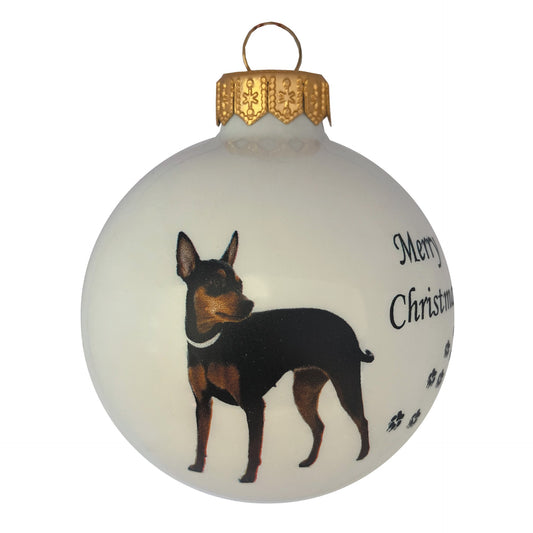 Zwergpinscher - weiss