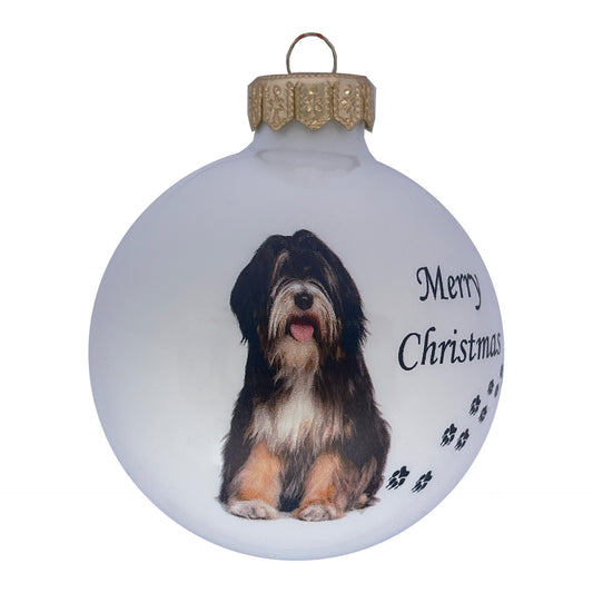 Tibet Terrier - weiss