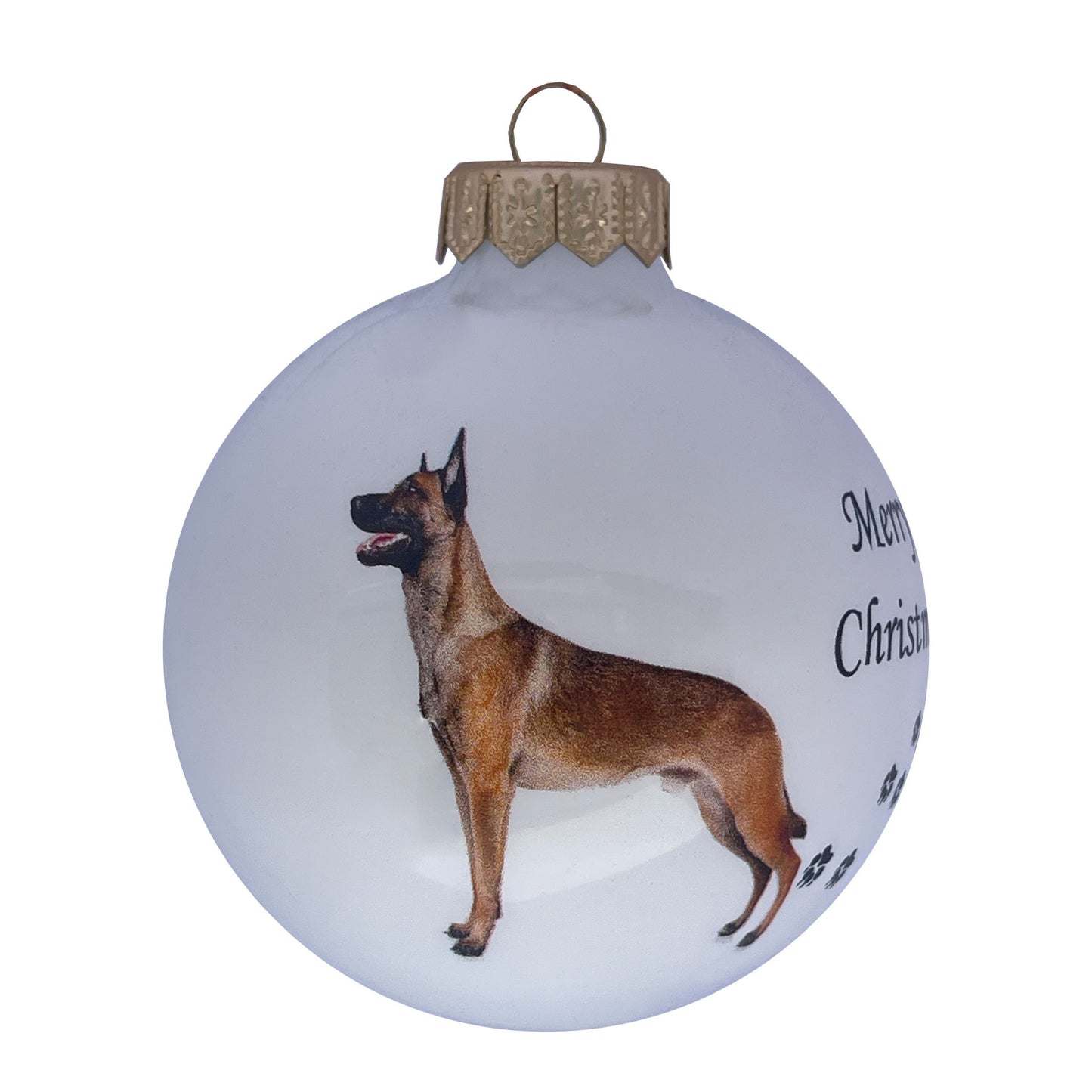 Malinois - weiss
