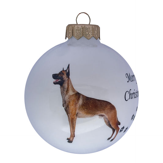 Malinois - weiss