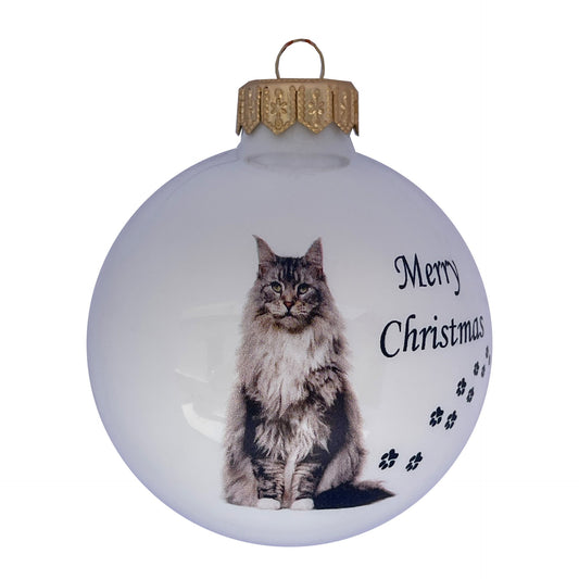 Main Coon