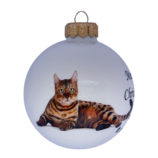 Bengalkatze - weiss