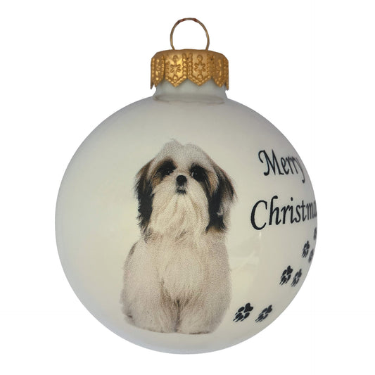 Shih Tzu - weiss