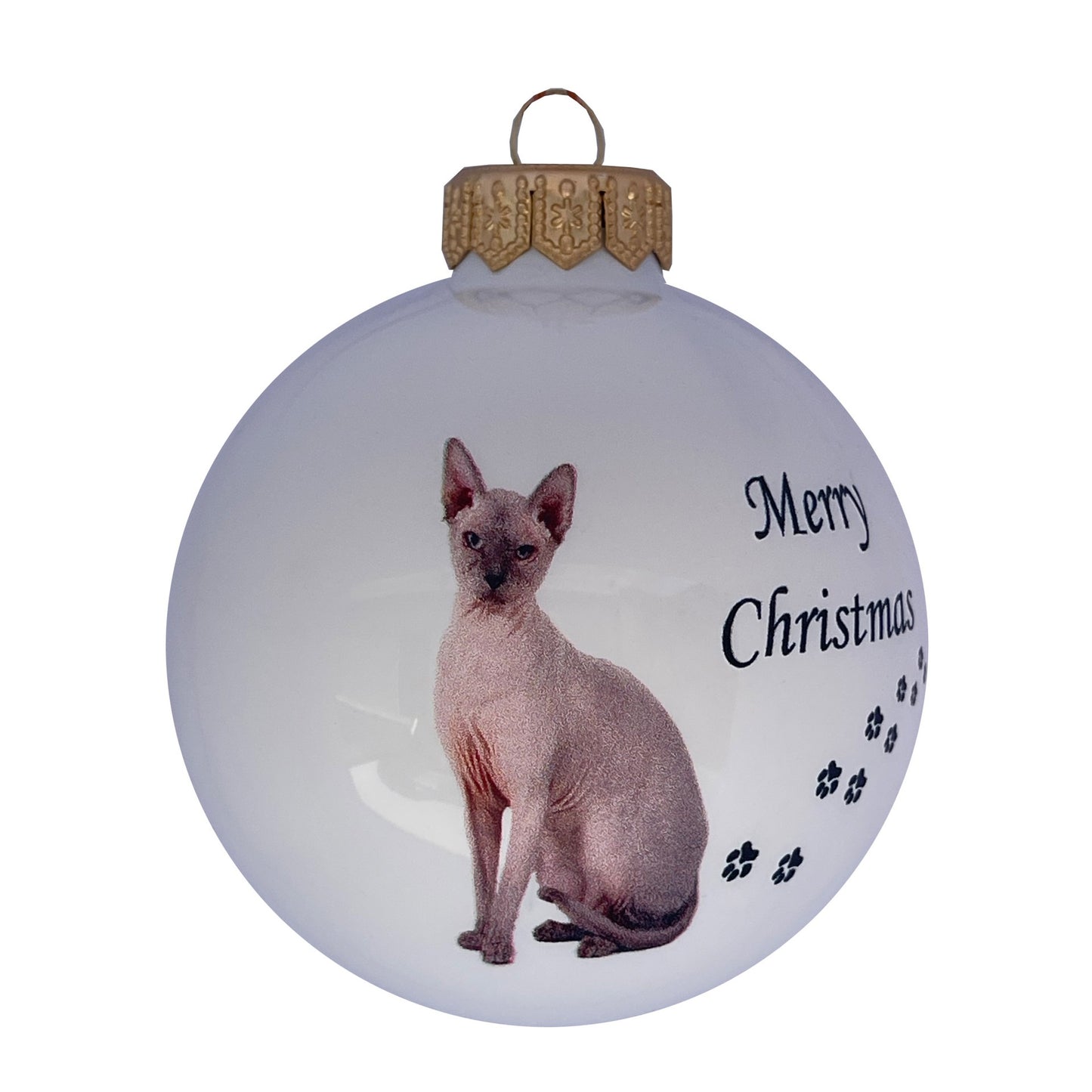 Sphynx-Katze - weiss