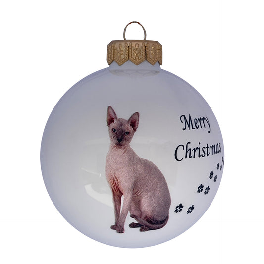 Sphynx-Katze - weiss